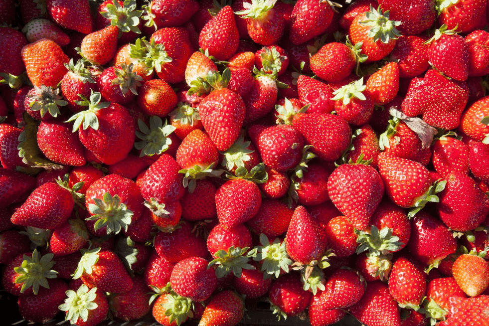 Fresas de Huelva