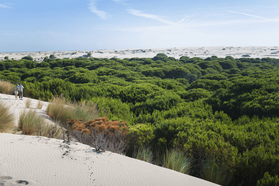 Parque Nacional de Doñana