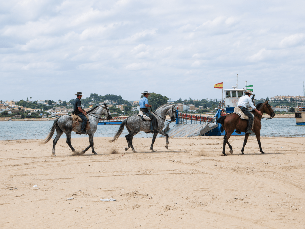 Caballos por Doñana