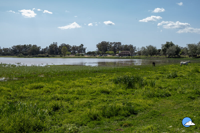 visita Parque Nacional de Doñana