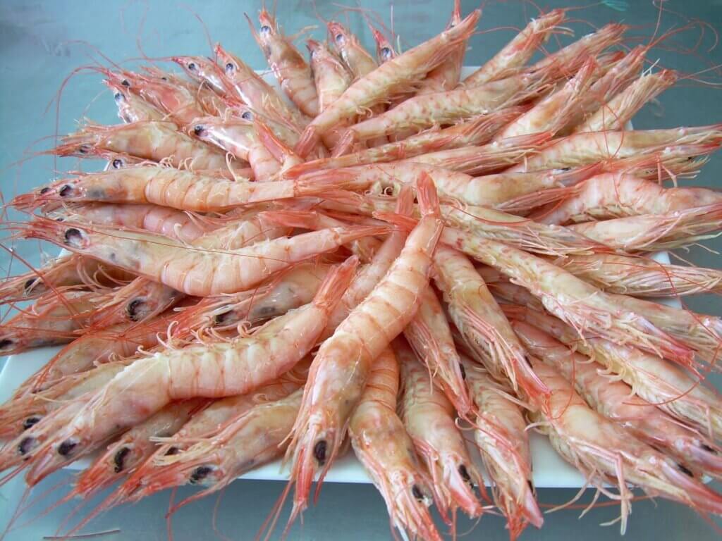 gamba blanca de huelva